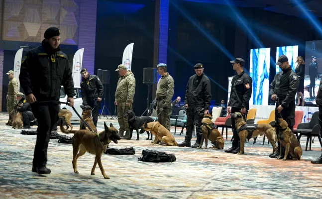 A special police task force (SEK) after the fatal knife attack Friday at the festival in Solingen, August 2024