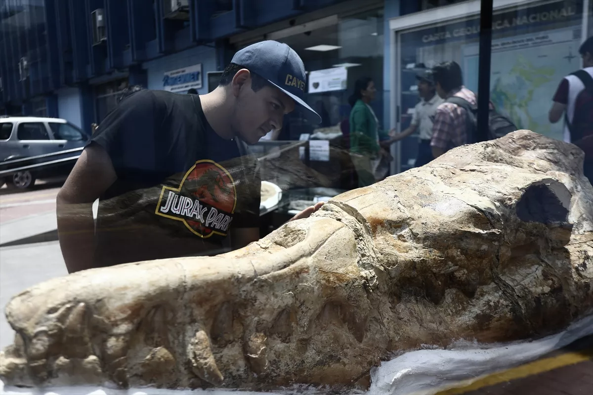 Otkrivena nova vrsta dinosaurusa u Zimbabveu
